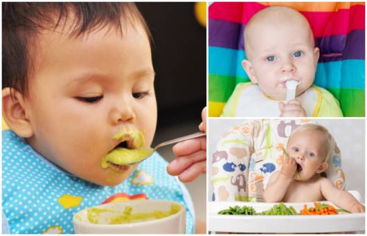 Cardápio para Bebê de 6 Meses – 12 Dicas para a Alimentação do Bebê! - cardápio para bebê de 6 meses
