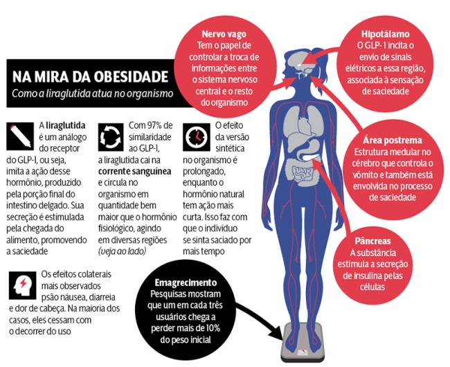 Os prós e os contras da injeção que promete ajudar no combate à obesidade |  VEJA RIO