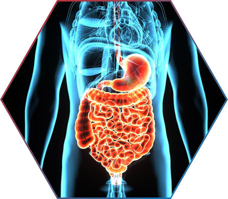 como a spirulina age no organismo